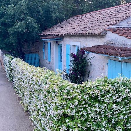 Vila Majda Tar-Vabriga Exterior foto